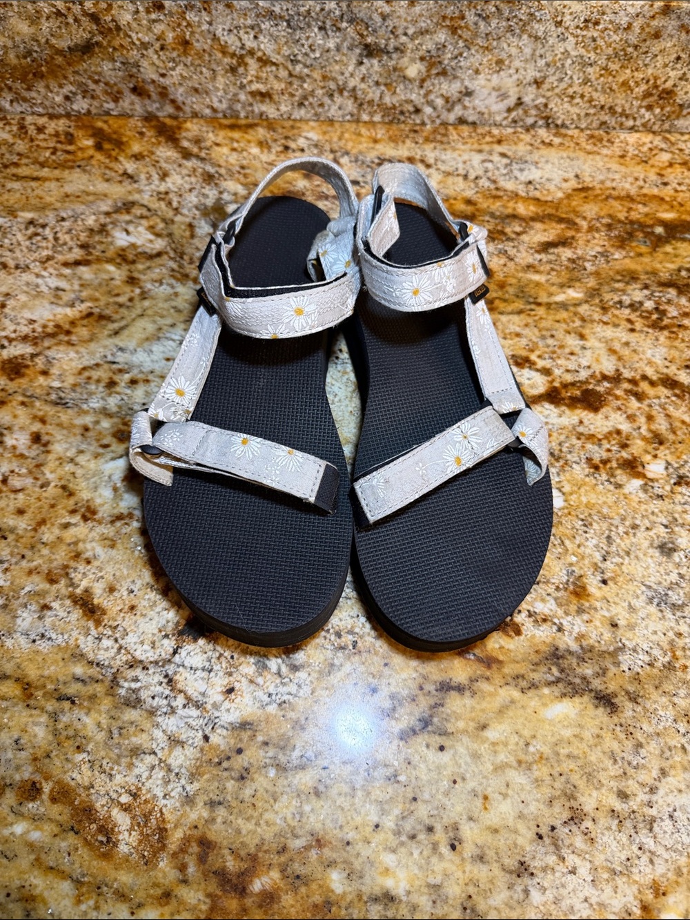 Teva Gloriosa Daisy